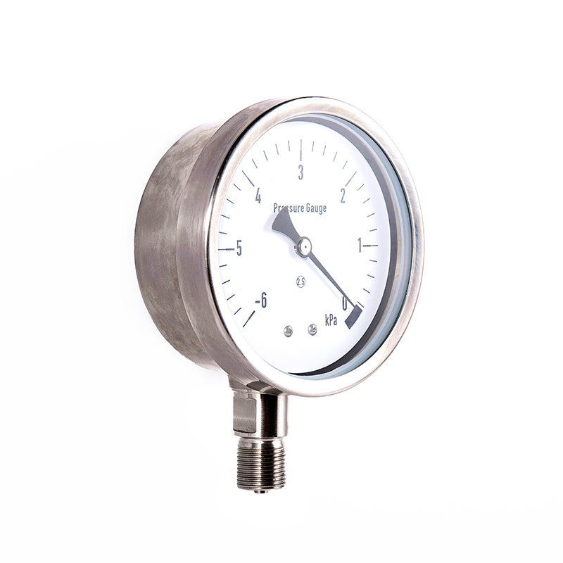 YEB serija serija dijafragma od nehrđajućeg čelika YEB serija serija dijafragma od nehrđajućeg čelika